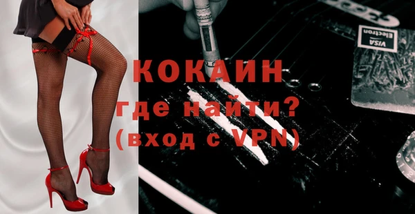 ПСИЛОЦИБИНОВЫЕ ГРИБЫ Вязники
