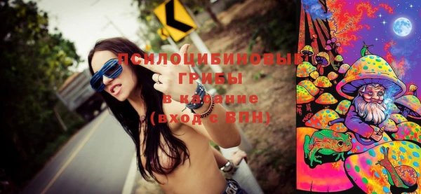 ПСИЛОЦИБИНОВЫЕ ГРИБЫ Вязники