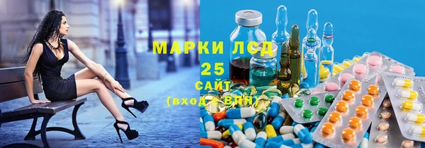 спиды Гусев
