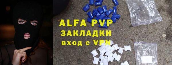 ПСИЛОЦИБИНОВЫЕ ГРИБЫ Вязники