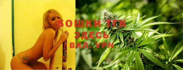 ПСИЛОЦИБИНОВЫЕ ГРИБЫ Вязники