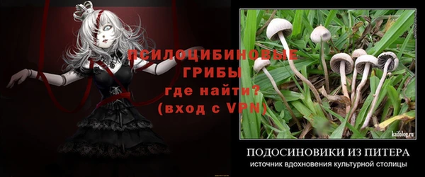 дживик Вяземский
